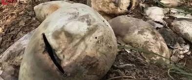 方山吃瓜最新事件爆料  第2张