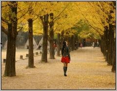 秋天2008在线观看,2008年秋天在线观影之旅  第1张