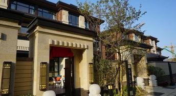 6号别墅在线观看  第1张